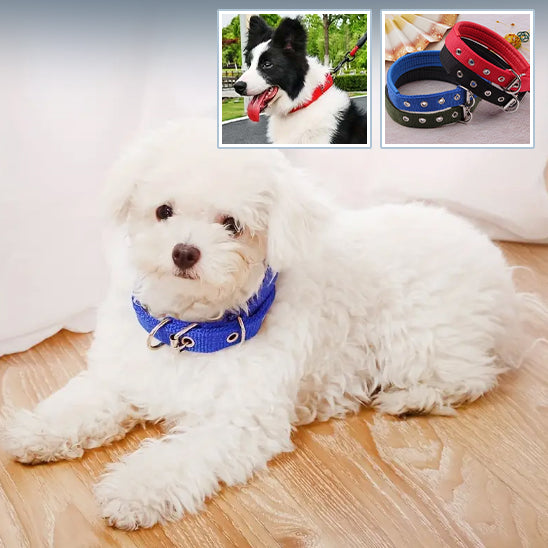 Collier pour Chien NekStrap™