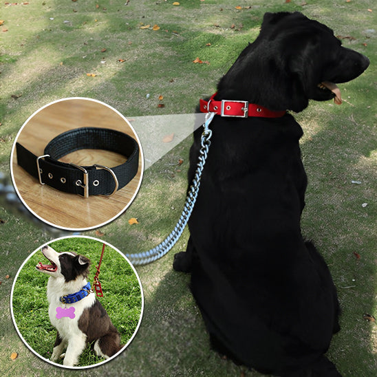 Collier pour Chien NekStrap™