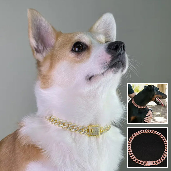 Collier pour Chien DogStyle™   Luxe