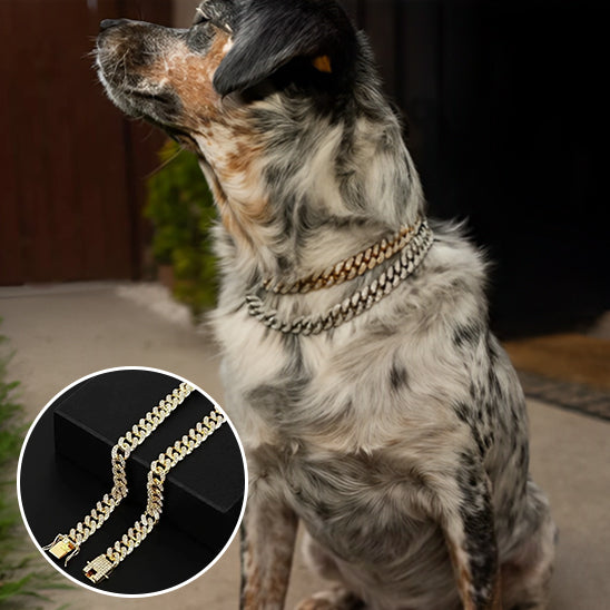 Collier pour Chien DogStyle™   Luxe