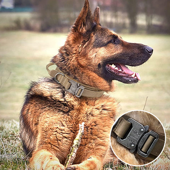 Collier de Chien SureGrip™ Dressage