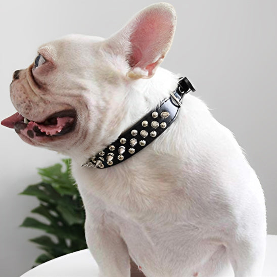 Collier pour Chien NailStrip™   cuir clouté