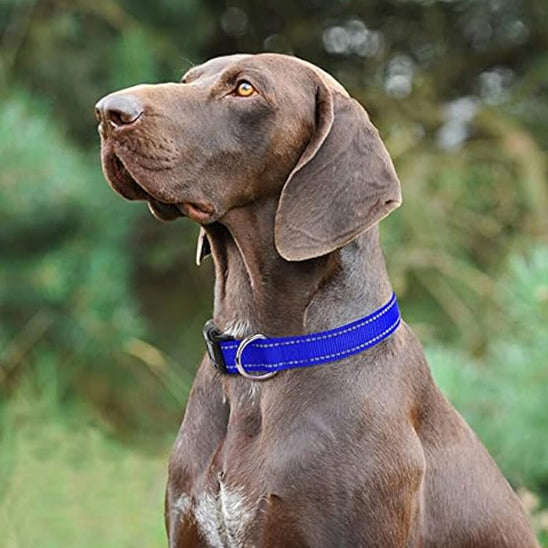 Collier pour Chien HardLink™/ Nylon Reflaichissant