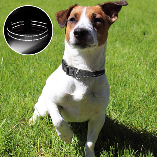 Collier pour Chien HardLink™/ Nylon Reflaichissant