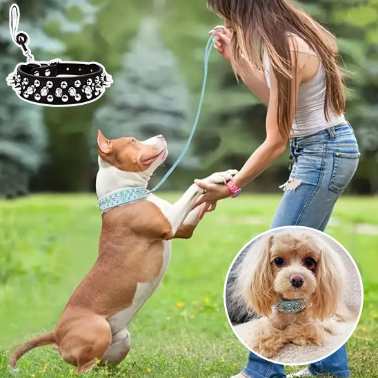 Collier pour Chien NailStrip™   cuir clouté