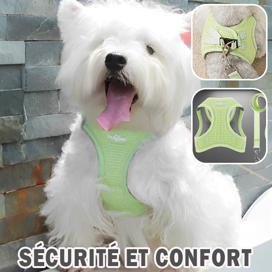 Harnais pour Petit Chien