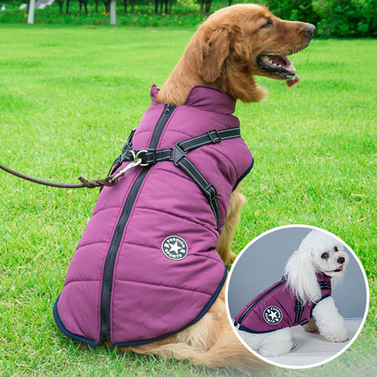 Harnais pour Chien Manteau WarmCoat™