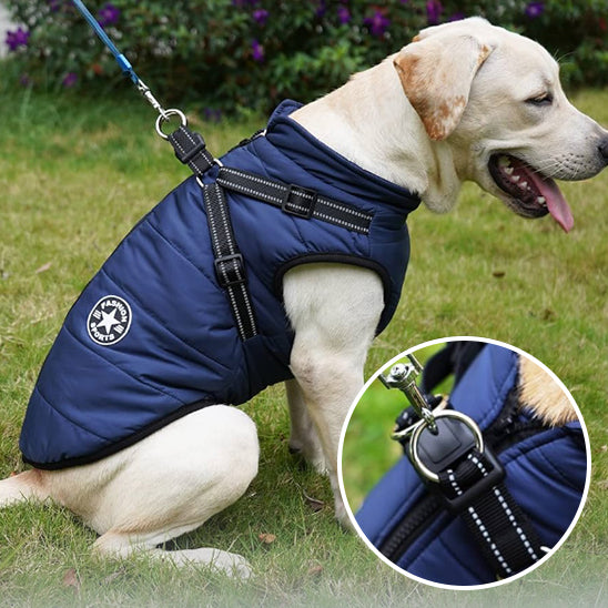 Harnais pour Chien Manteau WarmCoat™