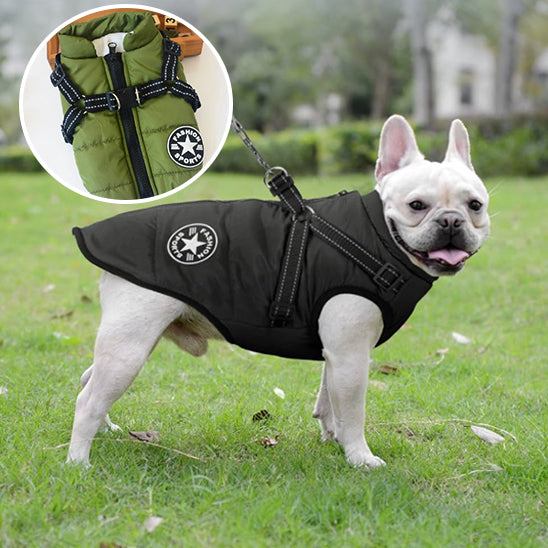 Harnais pour Chien Manteau WarmCoat™