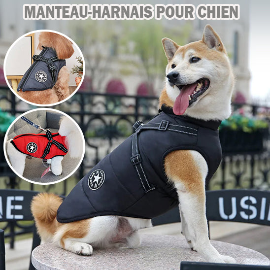 Harnais pour Chien Manteau WarmCoat™