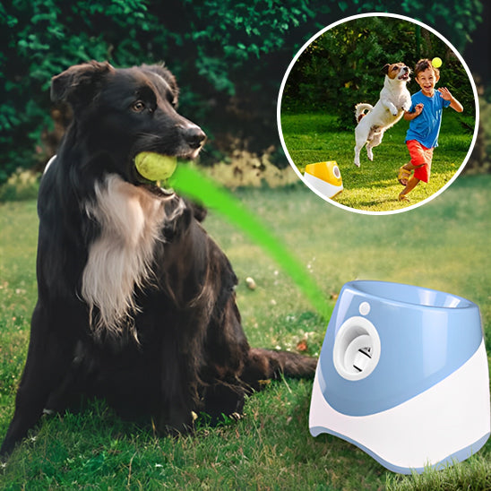 Jouet Chien / Lanceur de AirBall ™