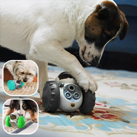 Jouets pour Chien SmartRobot™