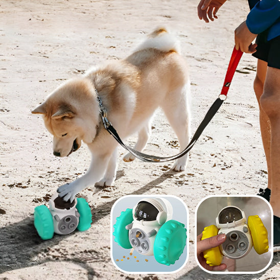 Jouets pour Chien SmartRobot™