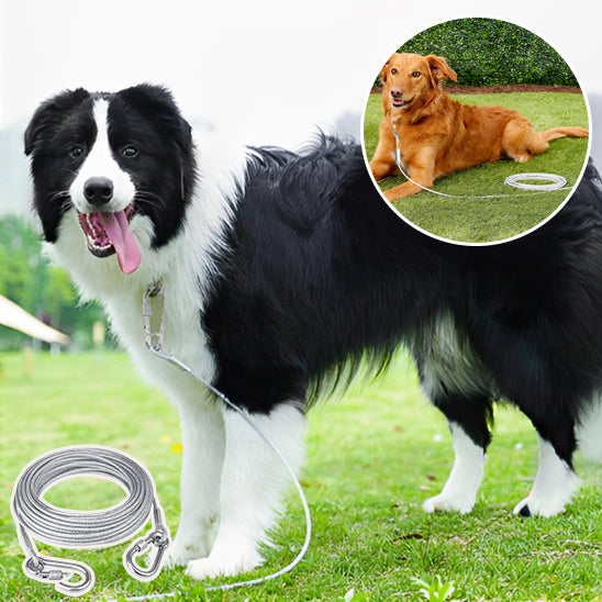 Laisse Chien Double LongTail™