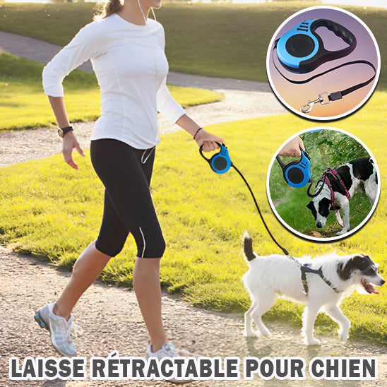 Laisses pour chien   (rétractables) QuikClik™