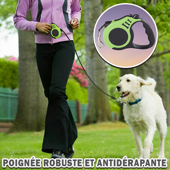 Laisses pour chien   (rétractables) QuikClik™