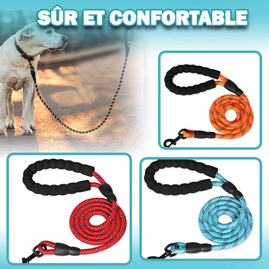 Longe pour Chien  LongSpace™