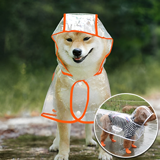 Manteau pour Chien  Imperméable LookThrough™