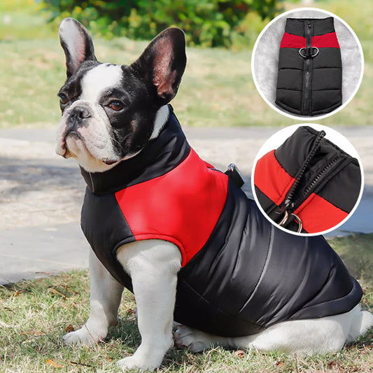 Manteau pour Chien RainJacket™/ 2 en 1