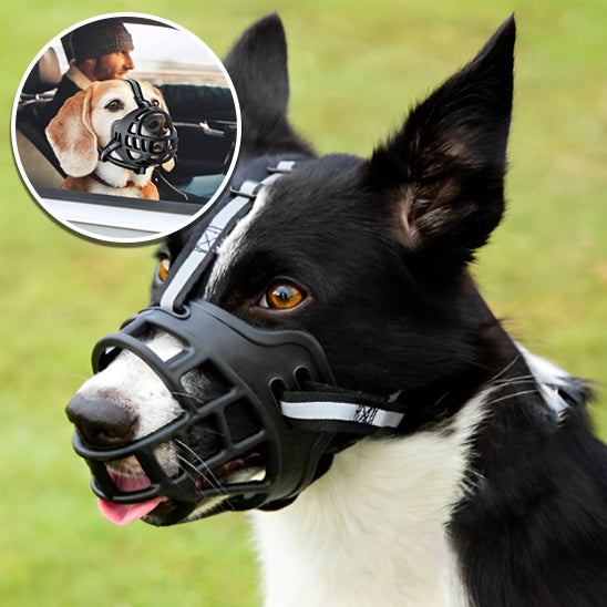 Muselière pour Chien AiryMuzzle™