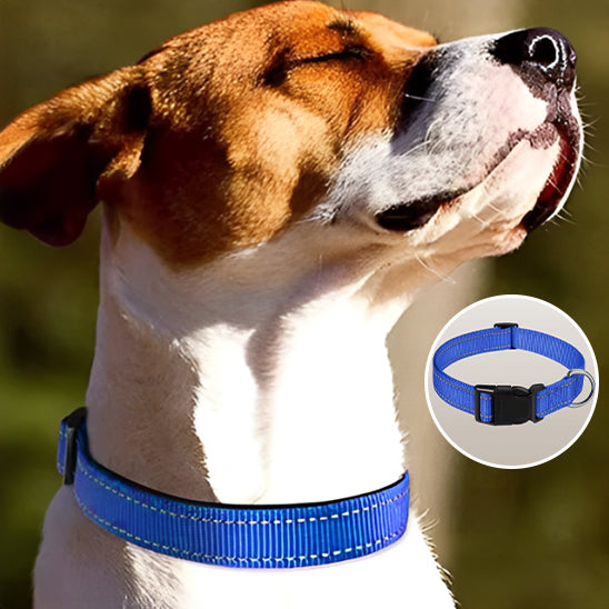 Collier pour Chien HardLink™/ Nylon Reflaichissant