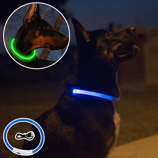 Collier-chien-lumineux-sécurité