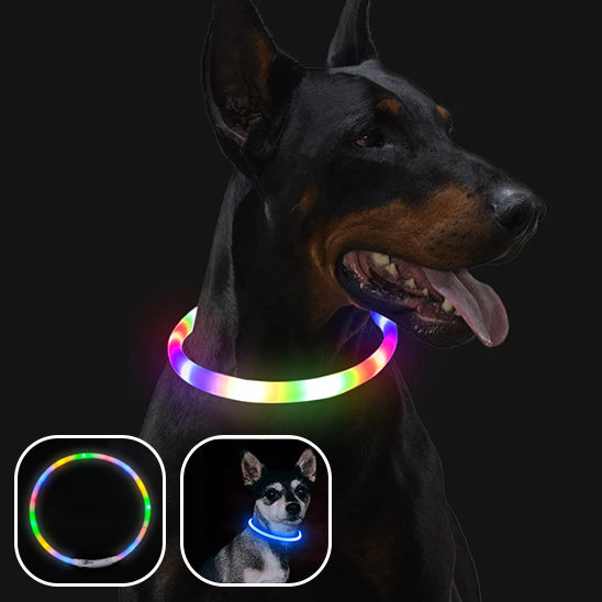 Collier Chien Lumineux MagicCircle™